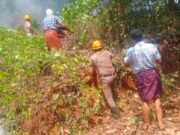 ಮುಂಡಾಜೆಯಲ್ಲಿ ಗುಡ್ಡಕ್ಕೆ ಬೆಂಕಿ; ನಂದಿಸಿದ ಅಗ್ನಿಶಾಮಕ ದಳ