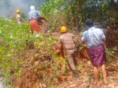 ಮುಂಡಾಜೆಯಲ್ಲಿ ಗುಡ್ಡಕ್ಕೆ ಬೆಂಕಿ; ನಂದಿಸಿದ ಅಗ್ನಿಶಾಮಕ ದಳ