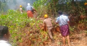 ಮುಂಡಾಜೆಯಲ್ಲಿ ಗುಡ್ಡಕ್ಕೆ ಬೆಂಕಿ; ನಂದಿಸಿದ ಅಗ್ನಿಶಾಮಕ ದಳ