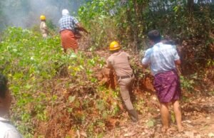 ಮುಂಡಾಜೆಯಲ್ಲಿ ಗುಡ್ಡಕ್ಕೆ ಬೆಂಕಿ; ನಂದಿಸಿದ ಅಗ್ನಿಶಾಮಕ ದಳ