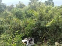 ಚಾರ್ಮಾಡಿಘಾಟಿಯಲ್ಲಿ ಪ್ರಪಾತಕ್ಕೆ ಉರುಳಿದ ವಾಹನ