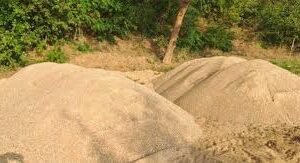 ಚಾರ್ಮಾಡಿ; ಅಕ್ರಮ ಮರಳು ಸಾಗಾಟ ಪತ್ತೆ, ವಾಹನ ಹಾಗೂ ಮರಳು ಪೊಲೀಸ್ ವಶಕ್ಕೆ