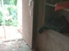 ಮಾಚಾರಿನಲ್ಲಿ ಸಿಡಿಲು ಬಡಿದು ಮನೆಗೆ ಹಾನಿ