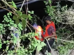 ದಾಂಡೇಲಿ; ಮಗುವನ್ನು ಮೊಸಳೆಗಳಿರುವ ನಾಲೆಗೆ ಎಸೆದ ತಾಯಿ, ಮೃತದೇಹ ಪತ್ತೆ