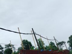 ಲಾಯಿಲ, ಮಳೆಗೆ ರಸ್ತೆ ಬದಿಯ ತಡೆಗೋಡೆ ಕುಸಿತ: