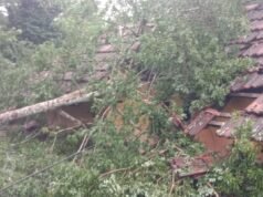 ಗರ್ಡಾಡಿಯಲ್ಲಿ ಮನೆಗೆ ಮರ ಬಿದ್ದು ಹಾನಿ