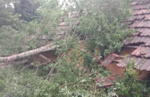 ಗರ್ಡಾಡಿಯಲ್ಲಿ ಮನೆಗೆ ಮರ ಬಿದ್ದು ಹಾನಿ
