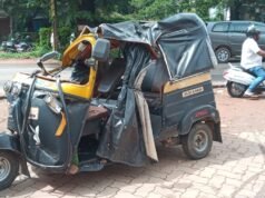 ಉಜಿರೆಯಲ್ಲಿ ರಸ್ತೆಗೆ ಉರುಳಿದ ಹೆಮ್ಮರ ವಾಹನಗಳು ಜಖಂ