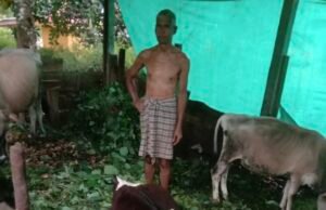 ಕೊಯ್ಯೂರಿನಲ್ಲಿ ಸಿಡಿಲು ಬಡಿದು ದನ ಸಾವು