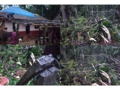 ಮುಳಿಕಾರಿನಲ್ಲಿ ಭಾರೀ ಗಾಳಿ ವ್ಯಾಪಕ ಹಾನಿ