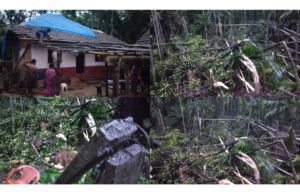 ಮುಳಿಕಾರಿನಲ್ಲಿ ಭಾರೀ ಗಾಳಿ ವ್ಯಾಪಕ ಹಾನಿ