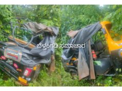ಗುರಿಪಳ್ಳ ರಿಕ್ಷಾ ಪಲ್ಟಿ ಹಲವರಿಗೆ ಗಾಯ