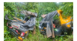 ಗುರಿಪಳ್ಳ ರಿಕ್ಷಾ ಪಲ್ಟಿ ಹಲವರಿಗೆ ಗಾಯ