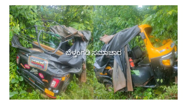 ಗುರಿಪಳ್ಳ ರಿಕ್ಷಾ ಪಲ್ಟಿ ಹಲವರಿಗೆ ಗಾಯ