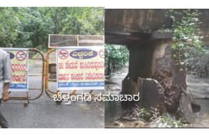 ಕುತ್ಲೂರು ಕಾಡಬಾಗಿಲು ಸೇತವೆ ಕುಸಿತ ಸಂಕಷ್ಟದಲ್ಲಿ ಜನರು