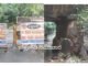 ಕುತ್ಲೂರು ಕಾಡಬಾಗಿಲು ಸೇತವೆ ಕುಸಿತ ಸಂಕಷ್ಟದಲ್ಲಿ ಜನರು
