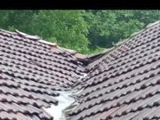 ಸರಳಿಕಟ್ಟೆ ಶಾಲೆಯಲ್ಲಿ ಪಾಠದ ನಡುವೆಯೇ ಕೊಠಡಿಯೊಳಗೆ ಪುಡಿಯಾಗಿ ಬಿದ್ದ ಹಂಚು ಮಕ್ಕಳು ಅಪಾಯದಿಂದ ಪಾರು