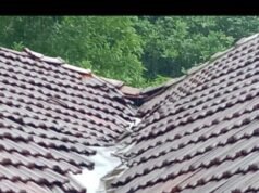 ಸರಳಿಕಟ್ಟೆ ಶಾಲೆಯಲ್ಲಿ ಪಾಠದ ನಡುವೆಯೇ ಕೊಠಡಿಯೊಳಗೆ ಪುಡಿಯಾಗಿ ಬಿದ್ದ ಹಂಚು ಮಕ್ಕಳು ಅಪಾಯದಿಂದ ಪಾರು