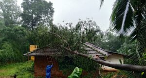 ನೆರಿಯದಲ್ಲಿ ಬಿರುಗಳಿಗೆ ವ್ಯಾಪಕ ಹಾನಿ, ಜನಜೀವನ ಅಸ್ತವ್ಯಸ್ತ