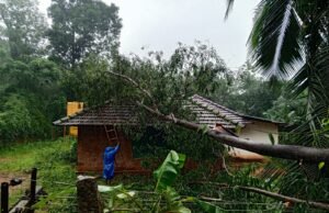 ನೆರಿಯದಲ್ಲಿ ಬಿರುಗಳಿಗೆ ವ್ಯಾಪಕ ಹಾನಿ, ಜನಜೀವನ ಅಸ್ತವ್ಯಸ್ತ