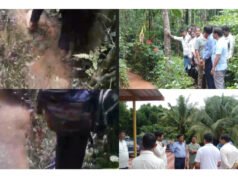 ಅಪಾಯಕಾರಿ ದಾರಿಯಲ್ಲಿ ಶಾಲೆಗೆ ಹೋಗುತ್ತಿರುವ ಮಕ್ಕಳ ವೀಡಿಯೋ ವೈರಲ್; ತಹಶೀಲ್ದಾರ್ ಅವರಿಂದ ಸ್ಥಳ ಪರಿಶೀಲನೆ