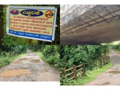 ನಾವೂರು; ಕೈಕಂಬ ಬೋಜಾರ ರಸ್ತೆಯಲ್ಲಿ ಸೇತುವೆ ಕುಸಿಯುವ ಭೀತಿ