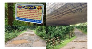 ನಾವೂರು; ಕೈಕಂಬ ಬೋಜಾರ ರಸ್ತೆಯಲ್ಲಿ ಸೇತುವೆ ಕುಸಿಯುವ ಭೀತಿ