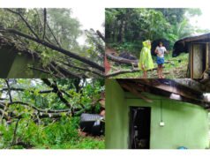 ಕುವೆಟ್ಟು ಮನೆಮೇಲೆ ಉರುಳಿದ ಮರ ವ್ಯಾಪಕ ಹಾನಿ