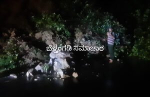 ಚಾರ್ಮಾಡಿ ಘಾಟಿಯಲ್ಲಿ ಭೂ ಕುಸಿತ; ವಾಹನ ಸಂಚಾರಕ್ಕೆ ಅಡಚಣೆ; ಇದೀಗ ಘಾಟಿ ಸಂಚಾರಕ್ಕೆ ಸುಗಮ