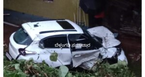 ಸವಣಾಲು; ಮೆನೆ ಮೇಲೆ ಉರುಳಿದ ಕಾರು; ಚಾಲಕ ಅಪಾಯದಿಂದ ಪಾರು