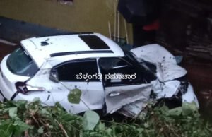 ಸವಣಾಲು; ಮೆನೆ ಮೇಲೆ ಉರುಳಿದ ಕಾರು; ಚಾಲಕ ಅಪಾಯದಿಂದ ಪಾರು