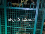 ಸವಣಾಲನಲ್ಲಿ ಬೋನಿಗೆ ಬಿದ್ದ ಮತ್ತೊಂದು ಚಿರತೆ; ಒಂದೇ ತಿಂಗಳಿನಲ್ಲಿ ಎರಡು ಚಿರತೆಗಳ ಸೆರೆ