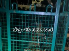 ಸವಣಾಲನಲ್ಲಿ ಬೋನಿಗೆ ಬಿದ್ದ ಮತ್ತೊಂದು ಚಿರತೆ; ಒಂದೇ ತಿಂಗಳಿನಲ್ಲಿ ಎರಡು ಚಿರತೆಗಳ ಸೆರೆ