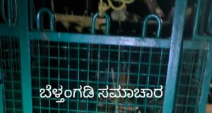 ಸವಣಾಲನಲ್ಲಿ ಬೋನಿಗೆ ಬಿದ್ದ ಮತ್ತೊಂದು ಚಿರತೆ; ಒಂದೇ ತಿಂಗಳಿನಲ್ಲಿ ಎರಡು ಚಿರತೆಗಳ ಸೆರೆ