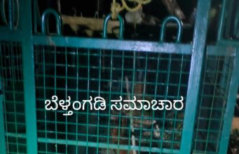 ಸವಣಾಲನಲ್ಲಿ ಬೋನಿಗೆ ಬಿದ್ದ ಮತ್ತೊಂದು ಚಿರತೆ; ಒಂದೇ ತಿಂಗಳಿನಲ್ಲಿ ಎರಡು ಚಿರತೆಗಳ ಸೆರೆ