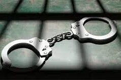 ಕುವೆಟ್ಟಿನಲ್ಲಿ ಅಕ್ರಮ ಗಾಂಜಾ ಮಾರಾಟ; ಪೊಲೀಸ್ ಕಾರ್ಯಾಚರಣೆ ಆರೋಪಿ ಬಂಧನ, ಗಾಂಜಾ ವಶಕ್ಕೆ