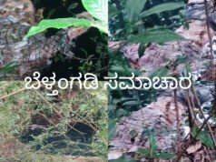 ಕಳಿಯ ಗ್ರಾಮದ ಗೇರುಕಟ್ಟೆ ಎಂಬಲ್ಲಿ ಕೆರೆಯಲ್ಲಿ ಕೊಳೆತ ಸ್ಥಿತಿಯಲ್ಲಿ ವ್ಯಕ್ತಿಯ ಮೃತದೇಹ ಪತ್ತೆ.