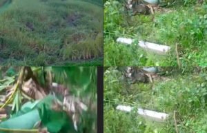 ಮಿತ್ತಬಾಗಿಲು: ಕಾಡಾನೆ ಗಳ ದಾಳಿ ಕೃಷಿಗೆ ಹಾನಿ