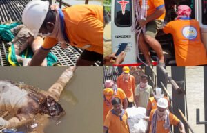 ನೇತ್ರಾವತಿ ನದಿಯಲ್ಲಿ ದಂಪತಿಗಳ ಮೃತದೇಹ ಪತ್ತೆ