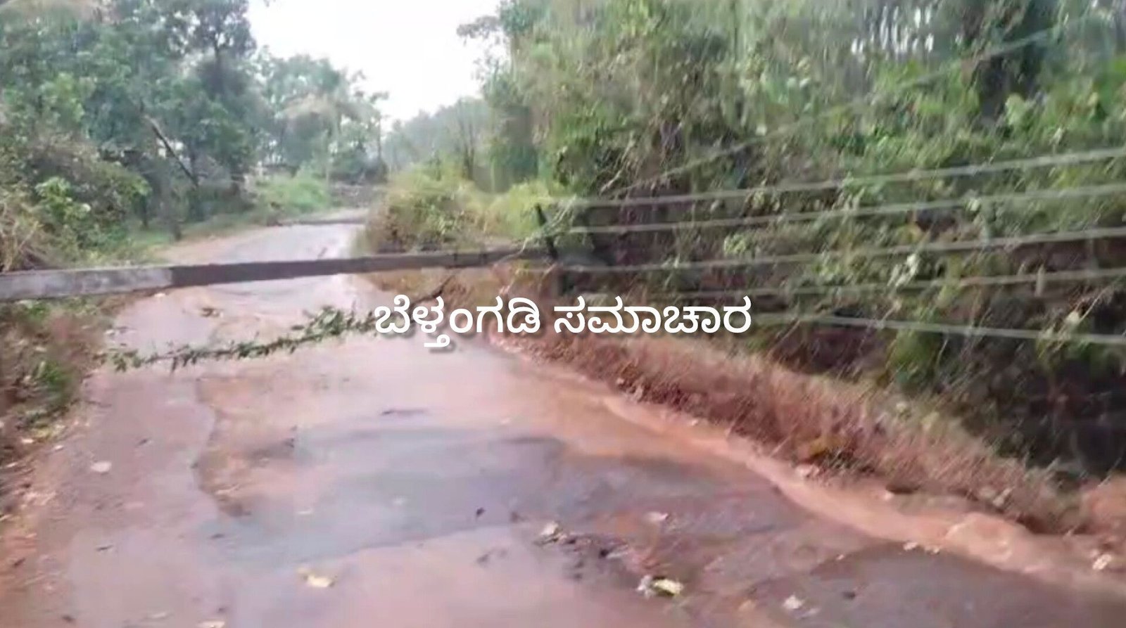 ತಾಲೂಕಿನ ಹಲವೆಡೆ ಮಳೆ ಕಕ್ಕಿಂಜೆ ಬಸ್ತಿಯಲ್ಲಿ ಮುರಿದು ಬಿದ್ದ ಮರ ಹಾಗೂ ವಿದ್ಯುತ್ ಕಂಬಗಳು