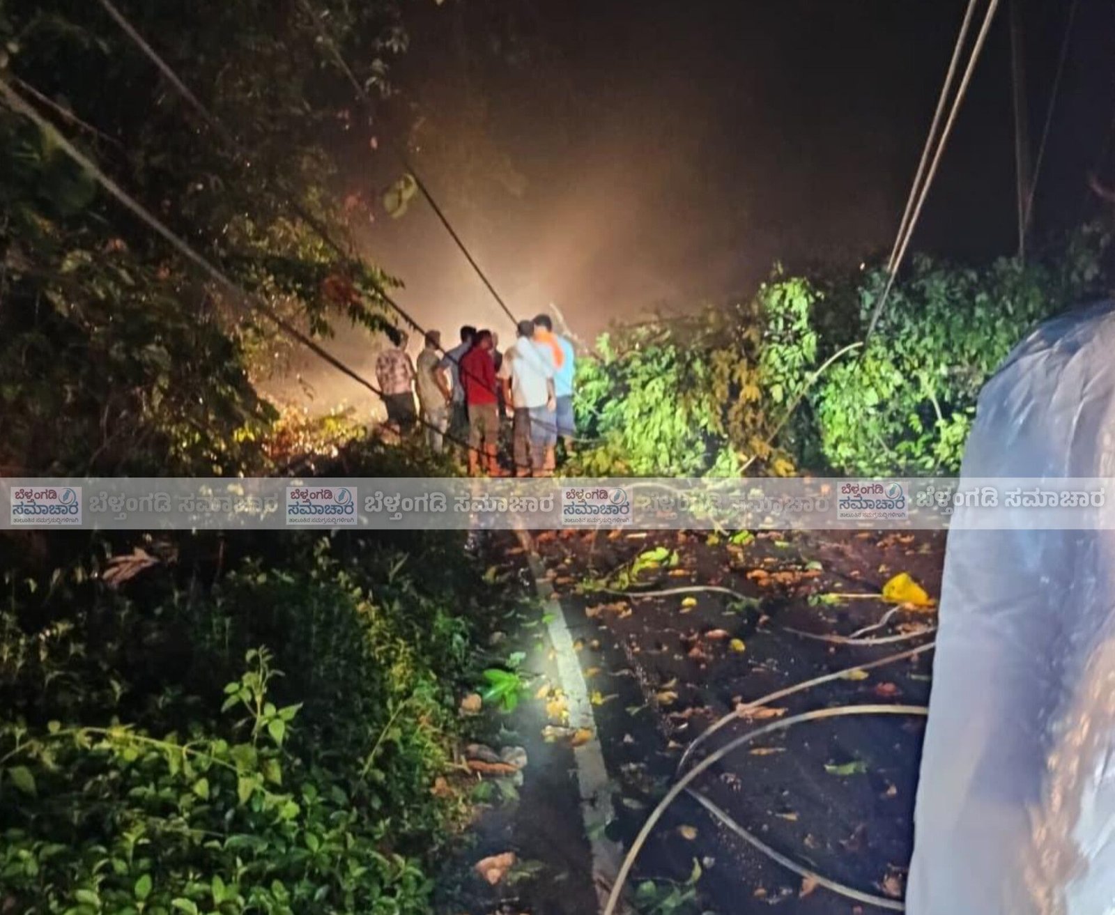 ಬೆಳ್ತಂಗಡಿ ಕೆಲವೆಡೆ ಉತ್ತಮಮಳೆ; ಮರ ಉರುಳಿ ಬಿದ್ದು ವಿದ್ಯುತ್ ಲೈನ್ ಗೆ ಹಾನಿ