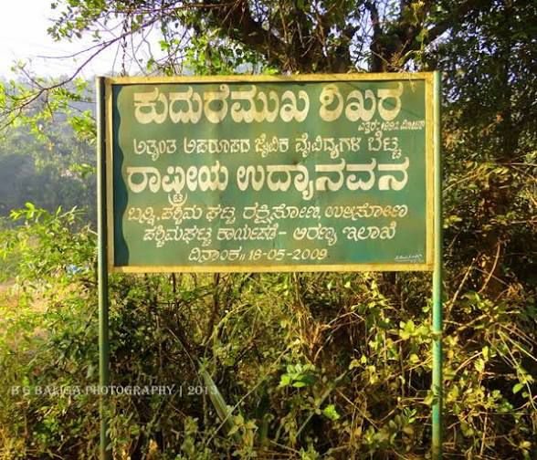 ಬೆಳ್ತಂಗಡಿ; ಅರಣ್ಯದಲ್ಲಿ ಹುಲಿ ಗಣತಿಗೆ ಅಳವಡಿಸಲಾಗಿದ್ದ ಕ್ಯಾಮರ ಕಳವು ಪ್ರಕರಣ ದಾಖಲು