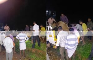ಅಕ್ರಮ ದನಸಾಗಾಟ ಧರ್ಮಸ್ಥಳ ಪೊಲೀಸರ ಕಾರ್ಯಾಚರಣೆ ದನ ರಕ್ಷಣೆ ನಾಲ್ವರ ವಿರುದ್ದ ಪ್ರಕರಣದಾಖಲು