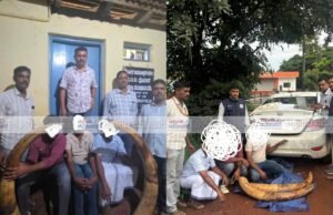 ಮಂಗಳೂರು: 42.7 ಕೆಜಿ ಆನೆದಂತ ವಶ, ಪುದುವೆಟ್ಟಿನ ವ್ಯಕ್ತಿ ಸೇರಿದಂತೆ ಮೂವರ ಬಂಧನ