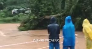 ಬೆಳ್ತಂಗಡಿ; ಮಳೆಗೆ ಮತ್ತೆ ಕೊಚ್ಚಿಹೋದ ಉಜಿರೆ ಗುರಿಪಳ್ಳ ರಸ್ತೆಯ ಅಂಬಡೆಬೆಟ್ಟು ತಾತ್ಕಲಿಕ ಸೇತುವೆ