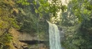 ದಿಡುಪೆ ಜಲಪಾತದಲ್ಲಿ ಅರಣ್ಯ ವಾಚರ್ ಮೇಲೆ ಹಲ್ಲೆ:ಹಣ ದೋಚಿ ಪರಾರಿ ಪ್ರಕರಣ ದಾಖಲು