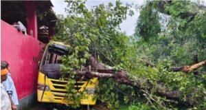 ಬಂಟ್ವಾಳ; ಶಾಲಾ ಬಸ್ ಮೇಲೆ ಮರ ಬಿದ್ದು ವಿದ್ಯಾರ್ಥಿ ಮೃತ್ಯು