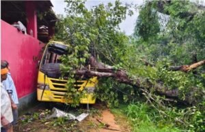ಬಂಟ್ವಾಳ; ಶಾಲಾ ಬಸ್ ಮೇಲೆ ಮರ ಬಿದ್ದು ವಿದ್ಯಾರ್ಥಿ ಮೃತ್ಯು