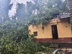 ಕಡಬ: ಮನೆ ಮೇಲೆ ಮರ ಬಿದ್ದು ಅಪಾರ ಹಾನಿ ಮಹಿಳೆಗೆ ಗಾಯ