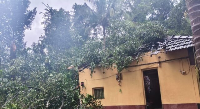 ಕಡಬ: ಮನೆ ಮೇಲೆ ಮರ ಬಿದ್ದು ಅಪಾರ ಹಾನಿ ಮಹಿಳೆಗೆ ಗಾಯ